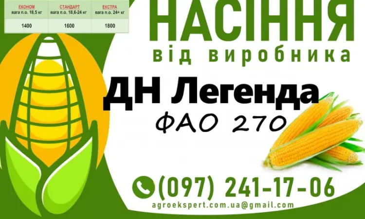 Насіння кукурудзи ДН Легенда (ФАО 270) на 2025 год от производителя - фото № 1
