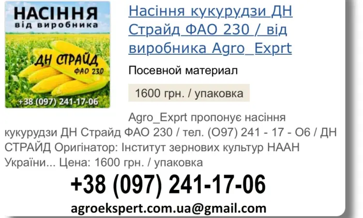 Продаж насіння кукурудзи ДН Страйд посівмат на 2026 від виробника - фото № 1