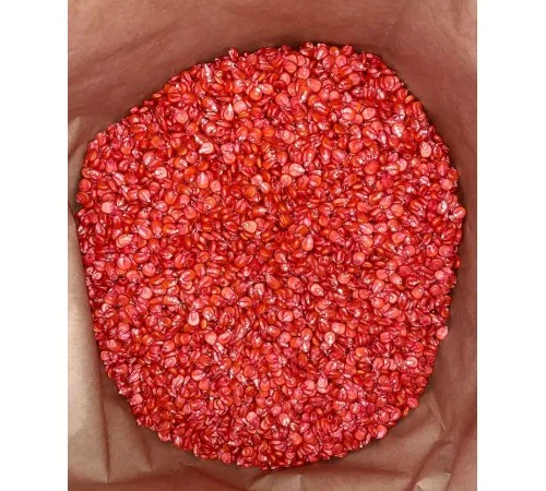 Насіння кукурудзи ДН Хортиця (ФАО 240) від виробника - фото № 3