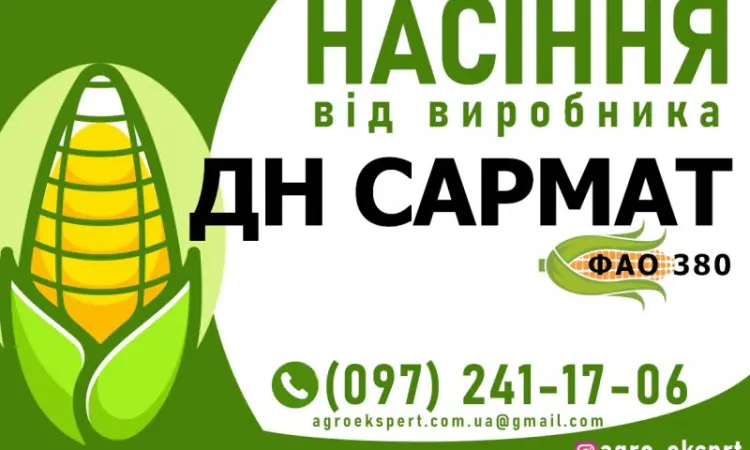Гібрид кукурудзи ДН Сармат (ФАО 380) від виробника - фото № 1