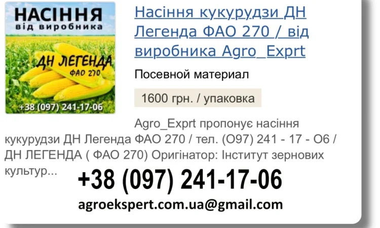 Пропонується насіння кукурудзи ДН Легенда на 2026 рік від виробника - фото № 1