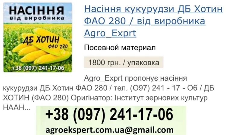 Насіння кукурудзи ДБ Хотин (ФАО 280) от Agro_Exprt - фото № 1