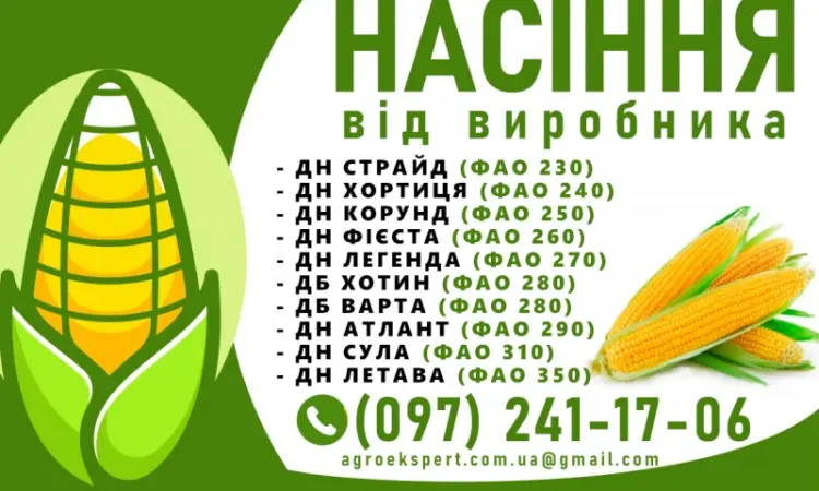 Качественное семя кукурузы от производителя в Харькове - фото № 1