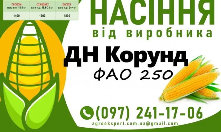 Качественное семя кукурузы от производителя в Харькове - фото № 3