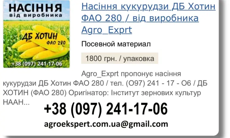 Продаж насіння кукурудзи ДБ Хотин на 2026 рік від виробника - фото № 1