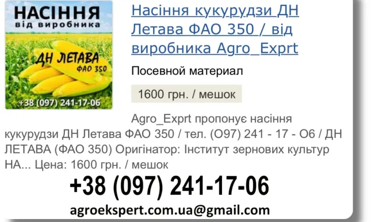 Продаж насіння кукурудзи ДН Летава на 2026 рік від виробника - фото № 1