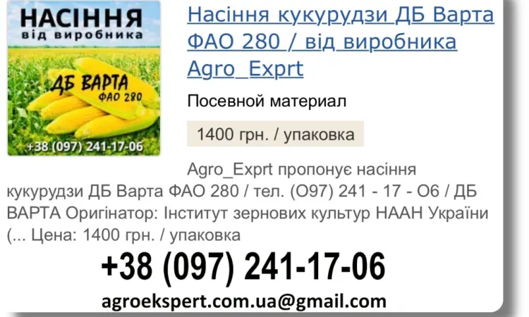 Продаж насіння кукурудзи ДБ Варта посівмат на 2026 рік від виробника - фото № 1
