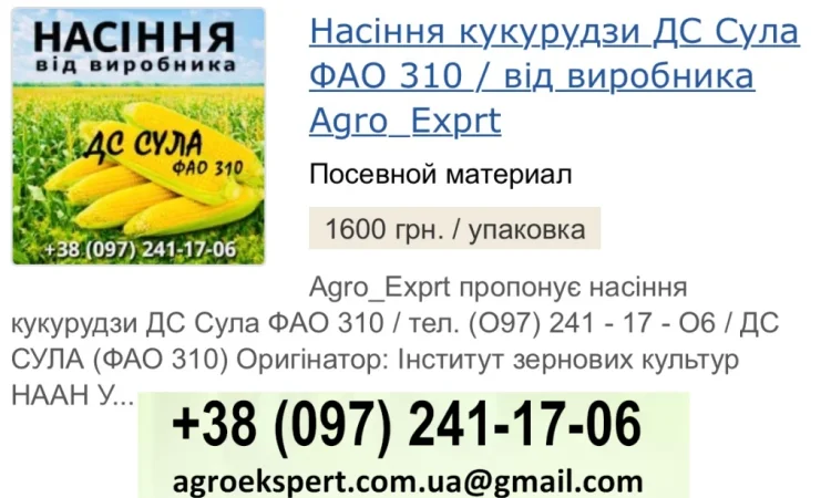 Насіння кукурудзи ДС Сула (ФАО 310) от Agro_Exprt - фото № 1