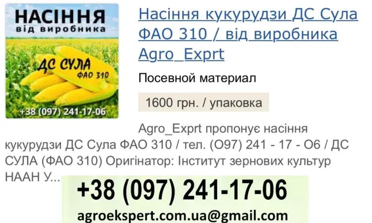 Насіння кукурудзи ДС Сула (ФАО 310) від Agro_Exprt - фото № 1