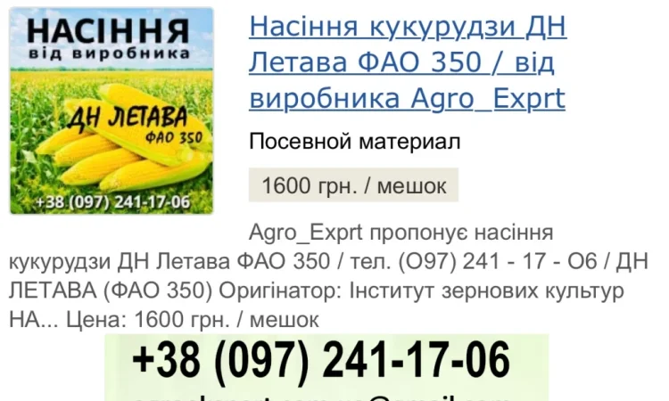 Насіння кукурудзи ДН Летава (ФАО 350) в продаже - фото № 1
