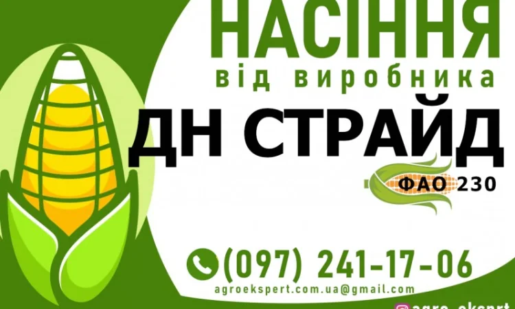 Гібрид кукурудзи ДН Страйд (ФАО 230) від виробника - фото № 1