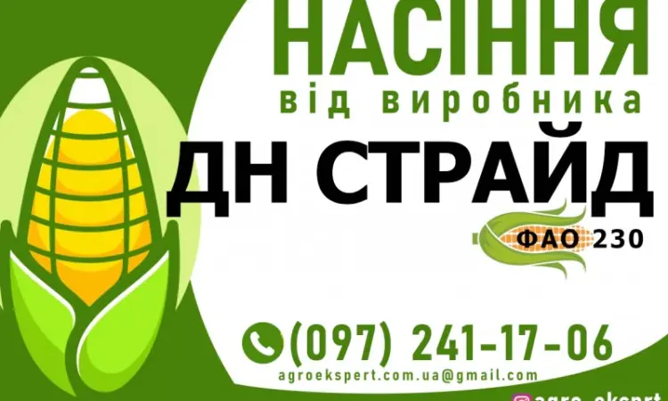 Гібрид кукурудзи ДН Страйд (ФАО 230) від виробника - фото № 1
