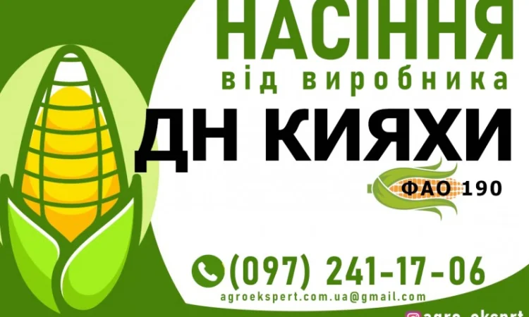 Гибрид кукурузы ДН Кияхи (ФАО 190) от производителя - фото № 1