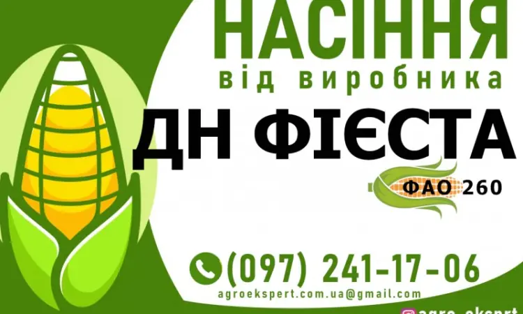 Гибрид кукурузы ДН Фиеста (ФАО 260) от производителя - фото № 1