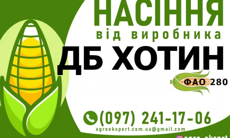 Гибрид кукурузы ДБ Хотин (ФАО 280) от производителя - фото № 1