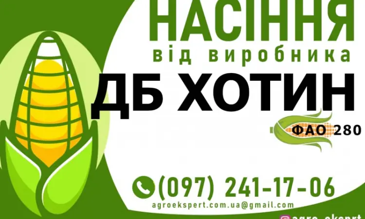 Гибрид кукурузы ДБ Хотин (ФАО 280) от производителя - фото № 1