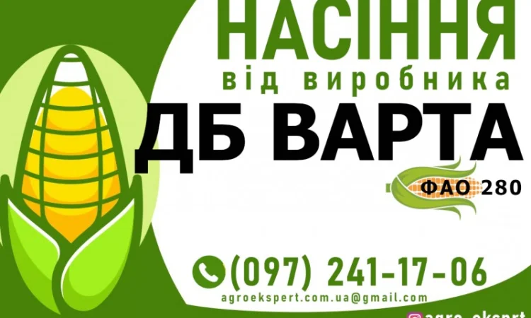 Гибрид кукурузы ДБ Варта (ФАО 280) от производителя - фото № 1