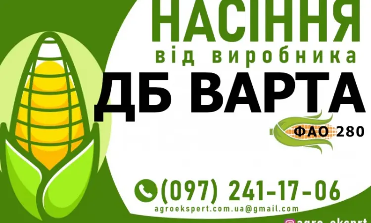 Гибрид кукурузы ДБ Варта (ФАО 280) от производителя - фото № 1