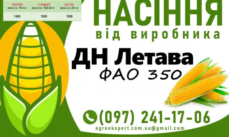 Насіння кукурудзи ДН Летава (ФАО 350) 2025 года от производителя - фото № 1