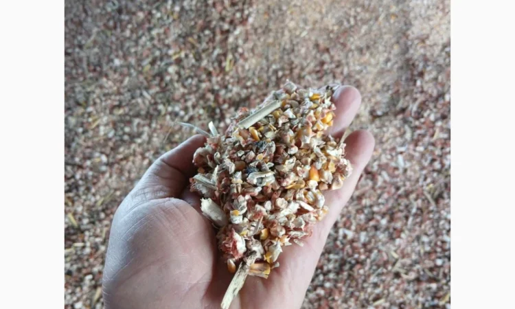 Продажа зерновідхода из кукурузы - фото № 2