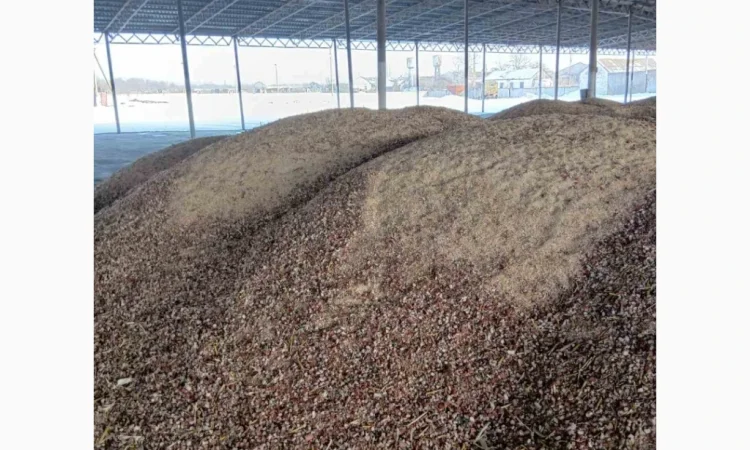 Продажа зерновідхода из кукурузы - фото № 3