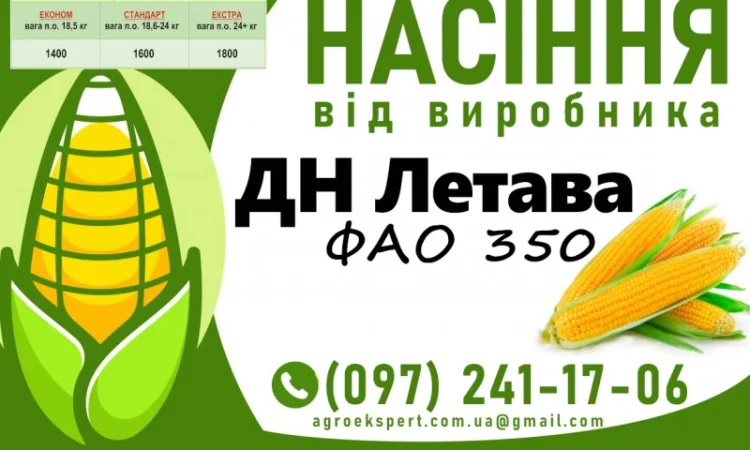 ДН Летава (ФАО 350) - Продажа семян кукурузы 2025 года - фото № 1