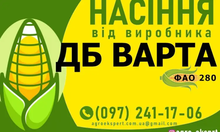 Насіння от производителя - Гибрид кукурузы ДБ Варта (ФАО 280) - фото № 1
