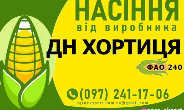 Насіння кукурудзи ДН Хортиця (ФАО 240) от производителя - фото № 1