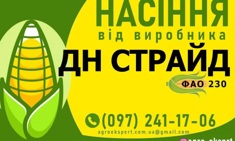 Гибрид кукурузы ДН Страйд (ФАО 230) от производителя - фото № 1