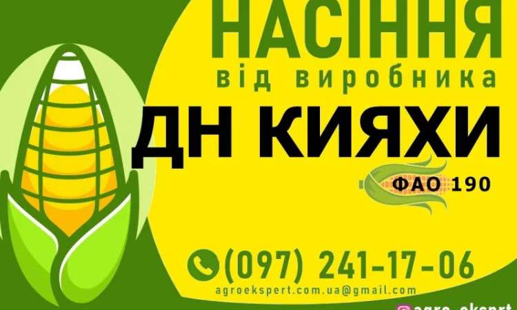 Насіння кукурудзи ДН Кияхи (ФАО 190) от производителя - фото № 1