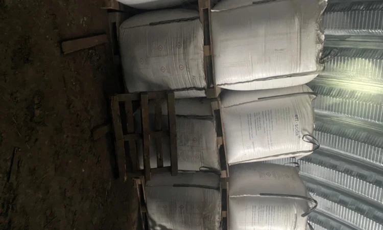 Пропонується пшениця урожаю 2025 року - фото № 2