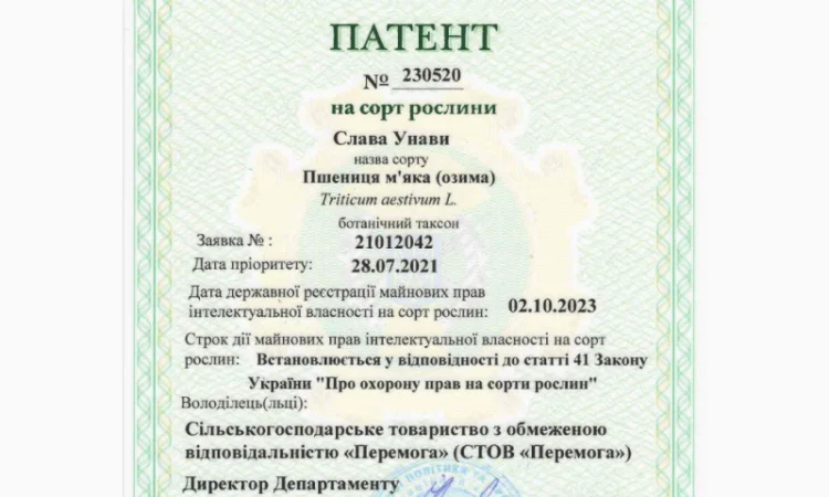 Пшеница мягкая озимая Слава Унави - фото № 3