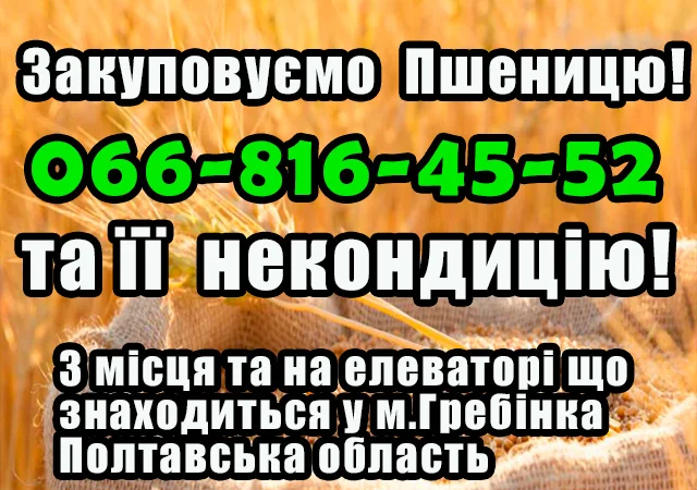 Покупка пшеницы 2,3,4 классов - фото № 1