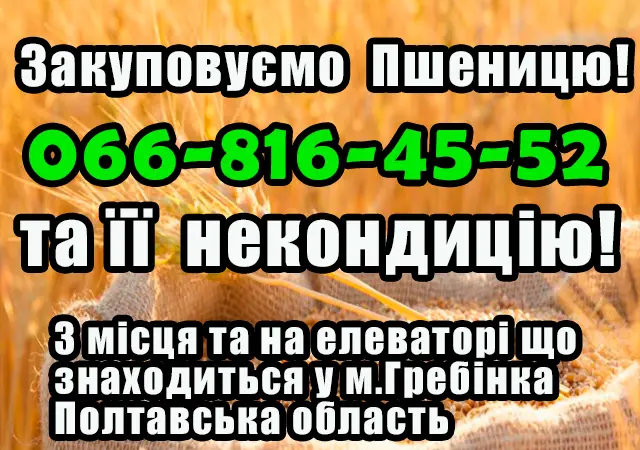 Закупаем пшеницу 2, 3 и 4 класса - фото № 1
