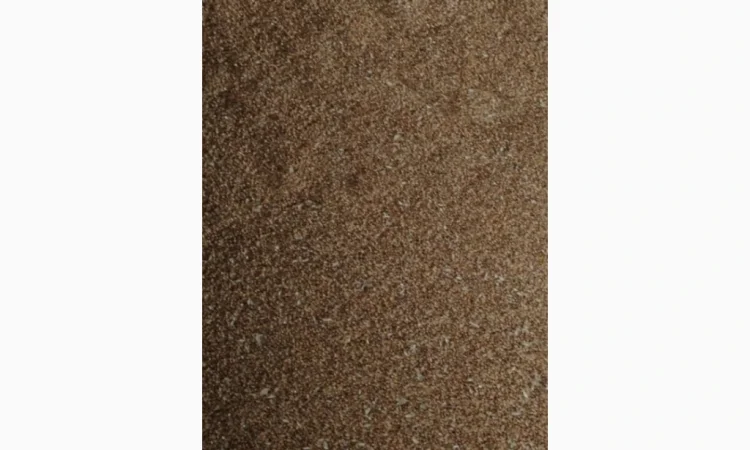 Продажа пшеницы сухой 2025 года - фото № 2