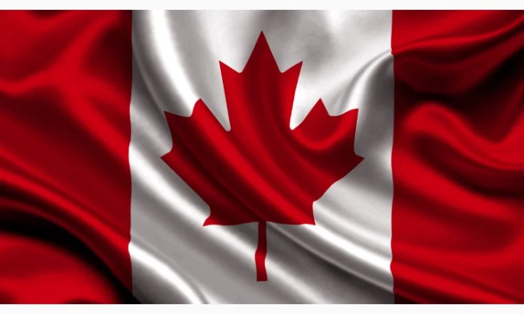 Насіння канадської пшениці на продаж - фото № 1