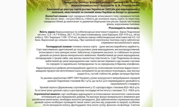 Продажа насіння озимої пшениці Подолянка (еліта) 2025 - фото № 1