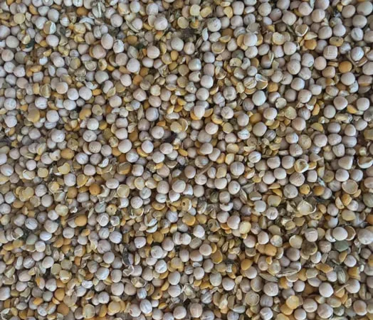 Продам горох кормовий збір 2025 - фото № 1