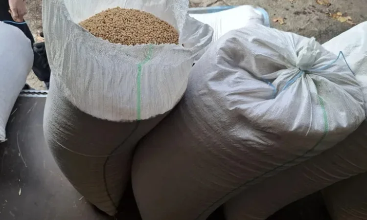 Продам горох на корм - фото № 1