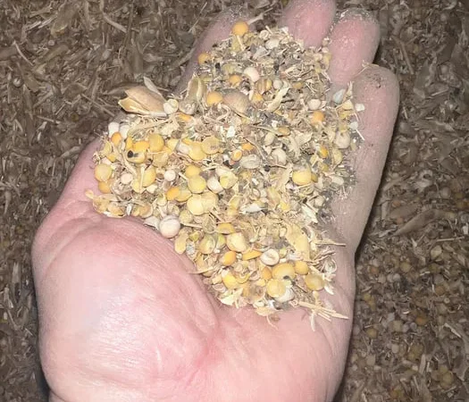 Продам відходи гороху - фото № 1