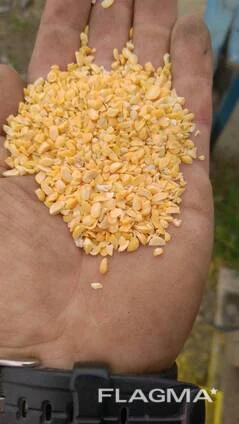 Горох сечка, горох колотый, отходы гороха - фото № 1