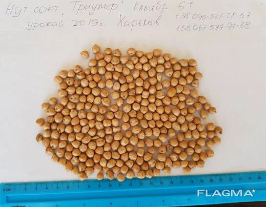 Нут калібру 6 мм у продажу - фото № 1