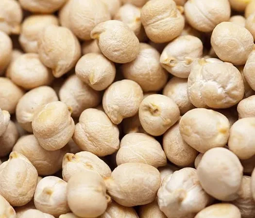 Продам Нут 100 тонн цена 16 грн - фото № 1