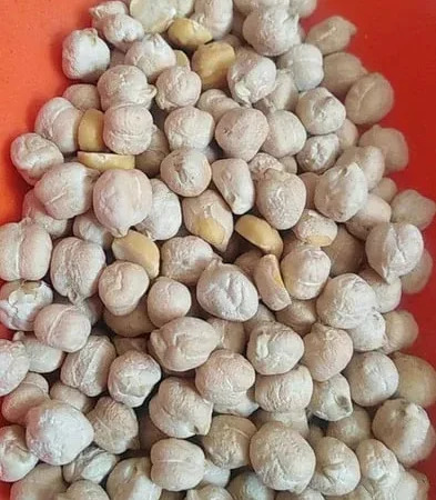 Нут крупний калібрований Узбекістан 1 кг - фото № 1