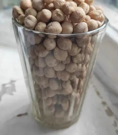 Горох нут, холодок - фото № 1