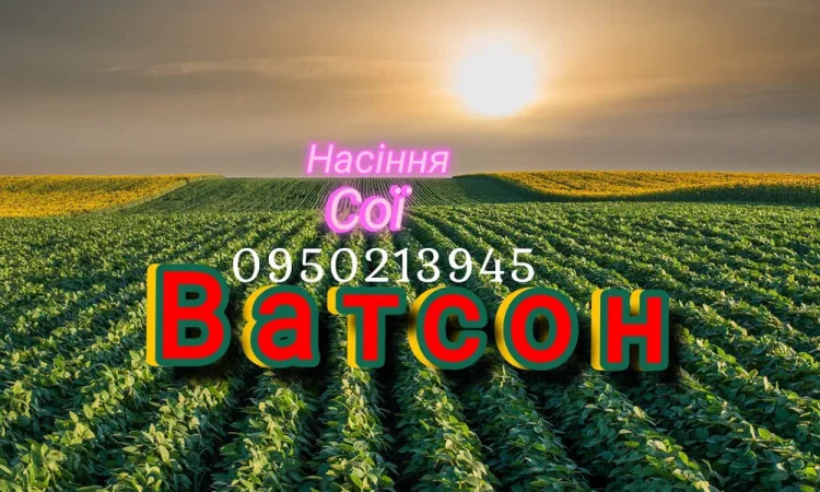 Насіння сої Ватсон ультраранньої групи стиглості - фото № 1