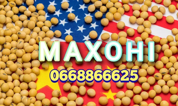 Насіння сої Махоні - фото № 1