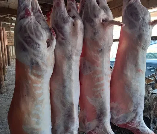 Баранина та ягнятина на продаж, живою вагою та тушкою - фото № 1