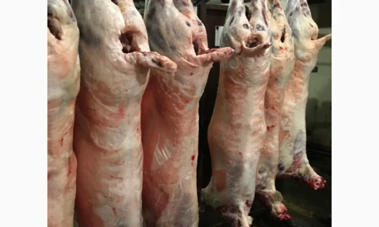 Тушки баранів та м'ясо молодого скота - фото № 1