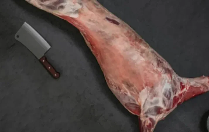 Продаж тушок ягнят та баранини - фото № 1